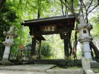 真夏の無量光寺 山門前にての拡大写真を表示