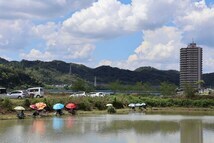 相模川弁天ヘラ釣り場（2023年8月撮影分）の拡大写真を表示