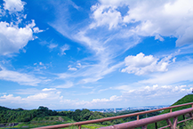 城山湖から見上げた夏空（2024年8月撮影分）の拡大写真を表示