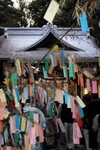 橋本神明大神宮の七夕の拡大写真を表示