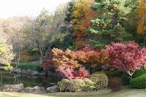 相模原北公園の写真2