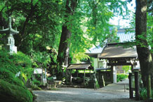 写真：白蓮の眠る石老山　顕鏡寺を訪れて（廣江幸子さん）