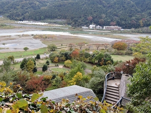 相模川自然の村公園の写真1