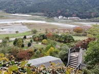 写真：相模川自然の村公園などを散策（田中千憲さん）