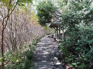 相模川自然の村公園の写真2