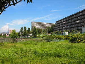 下九沢分水池の写真2