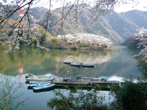 写真：沼本地区1