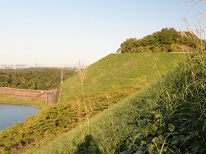 写真：雄龍籠山