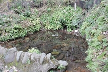 写真：古清水上組のヤツボ　―江戸時代から受け継がれる水―（宮崎保彦さん）