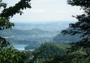 中野山の写真