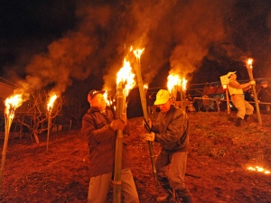 火祭りの写真2