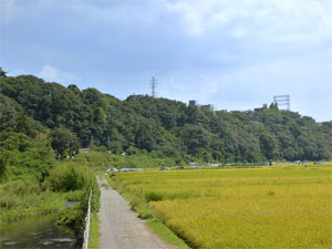 相模原段丘の写真