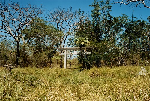 下道基行　「torii」の写真