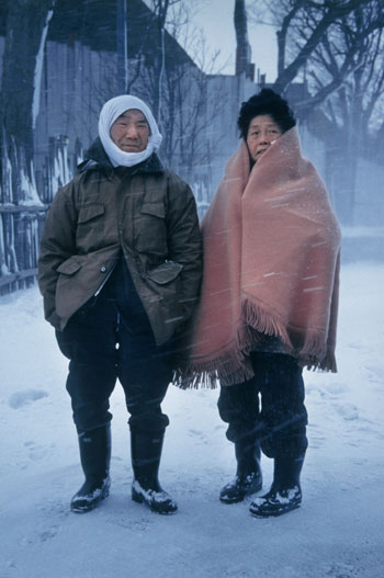 写真：吹雪く日