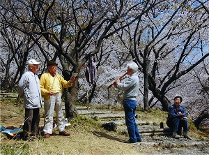 写真：花に唄う