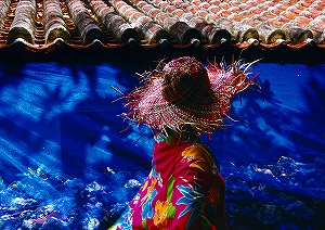 「深海の乙女」松永　正行（東京都）の写真