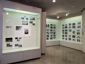 展示の様子1