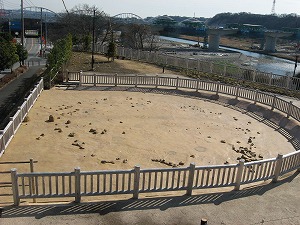 田名向原遺跡住居状遺構の写真