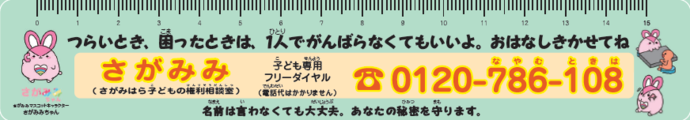 さがみみ定規