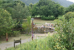 相模川自然の村公園（さがみがわしぜんのむらこうえん）の写真