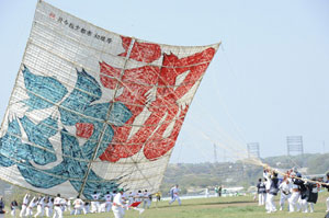 相模の大凧（おおだこ）まつりの写真