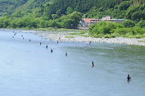 相模川でのアユ釣りの写真
