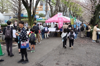 桜まつりの様子