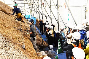 古民家園の茅葺屋根葺き替え修繕現場の画像3