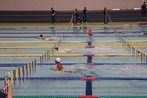 基本泳法の写真2