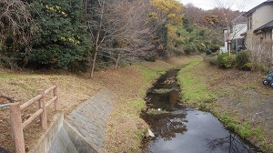 八瀬川こぶし橋下