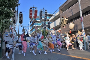 阿波踊り連の写真