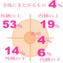 乳がんができやすい場所のグラフ(外側の上53%、内側の上19%、外側の下14%、内側の下6%、乳頭4%)