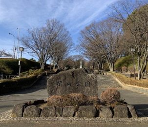 横山公園の写真