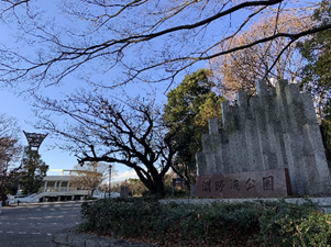 淵野辺公園の写真