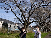 観光親善大使と桜の写真4