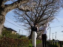 観光親善大使と桜の写真6