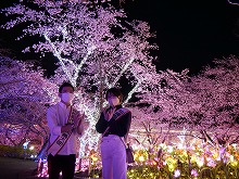 観光親善大使と桜の写真13