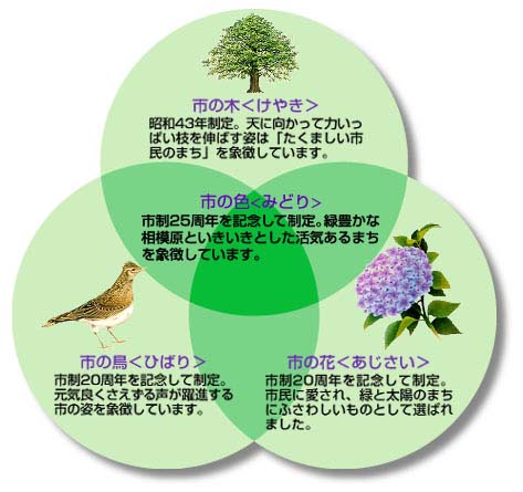 イラスト：市の木・市の鳥・市の花・市の色