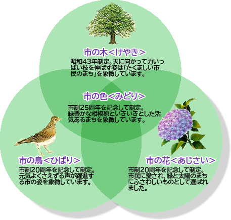 イラスト:市の木・市の鳥・市の花・市の色