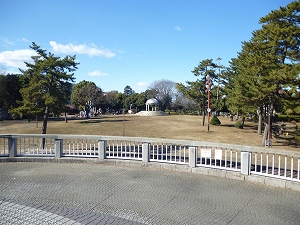 相模大野駅周辺の公園の写真