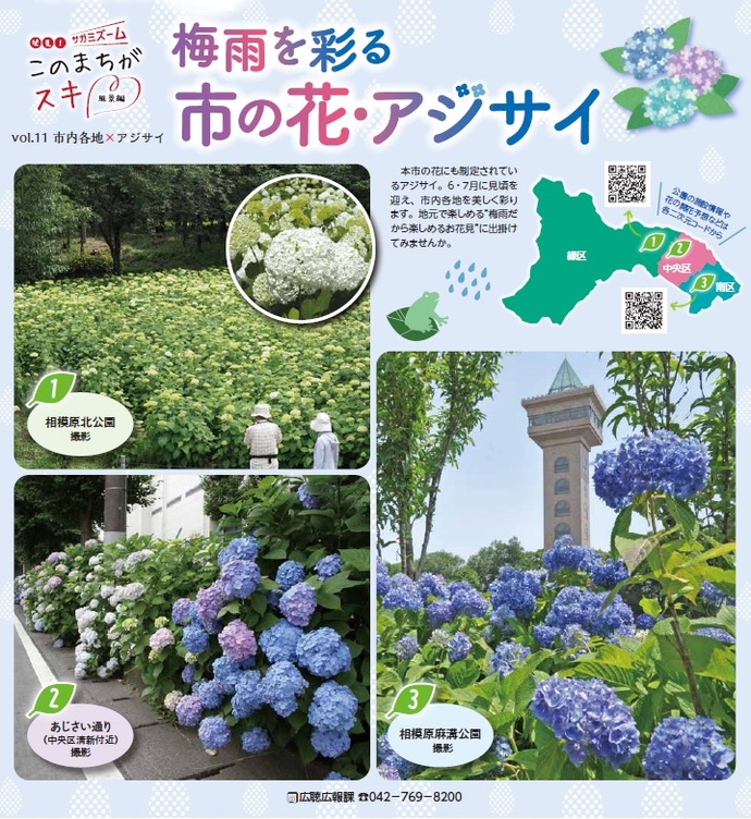 広報さがみはら令和4年（2022年）6月15日号　1面　vol.11　市内各地×アジサイ