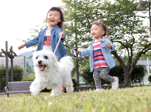 最優秀賞「さあ、お散歩に出発進行!」の写真