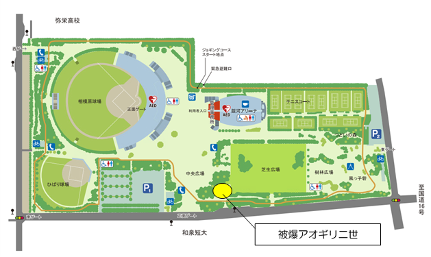 移植場所の地図