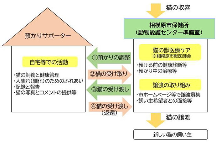 1預かりの調整:保健所からサポーターへ相談2猫の受け取り:サポーターが猫を受け取る3猫の受け渡し:ケアが終わった猫を保健所へ戻す4猫の受け渡し(返還):必要に応じて返還 サポーターの具体的な活動内容(自宅等)猫の飼育と健康管理人馴れ(馴化)のためのふれあい記録と報告猫の写真とコメントの提供など 動物愛護センター準備室の役割1猫の獣医療ケア:預ける前の健康診断等、預かり中の治療等2譲渡の取組:市ホームページ等で譲渡募集、飼い主希望者との面接等