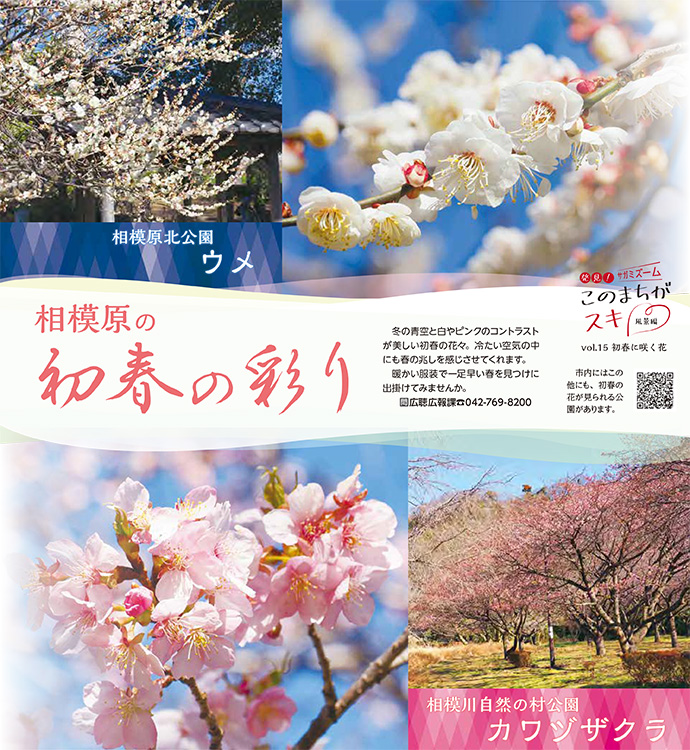 広報さがみはら令和5年（2024年）1月15日号　1面　vol.15　初春に咲く花