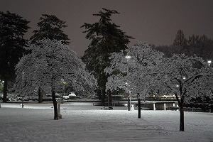 雪景色　写真