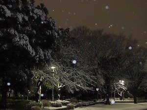 雪景色　写真5