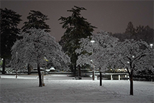 雪景色（相模大野中央公園）の写真