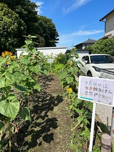 美化委員のポスター　写真