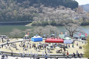 津久井湖さくらまつり　写真